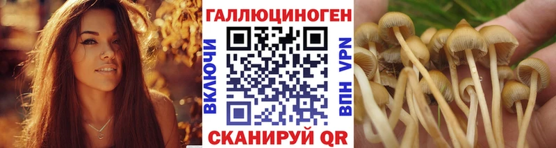 Галлюциногенные грибы мицелий что такое мориарти Telegram Урай